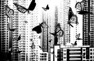 image: 1000 Leben III: tausend Hoffnungen